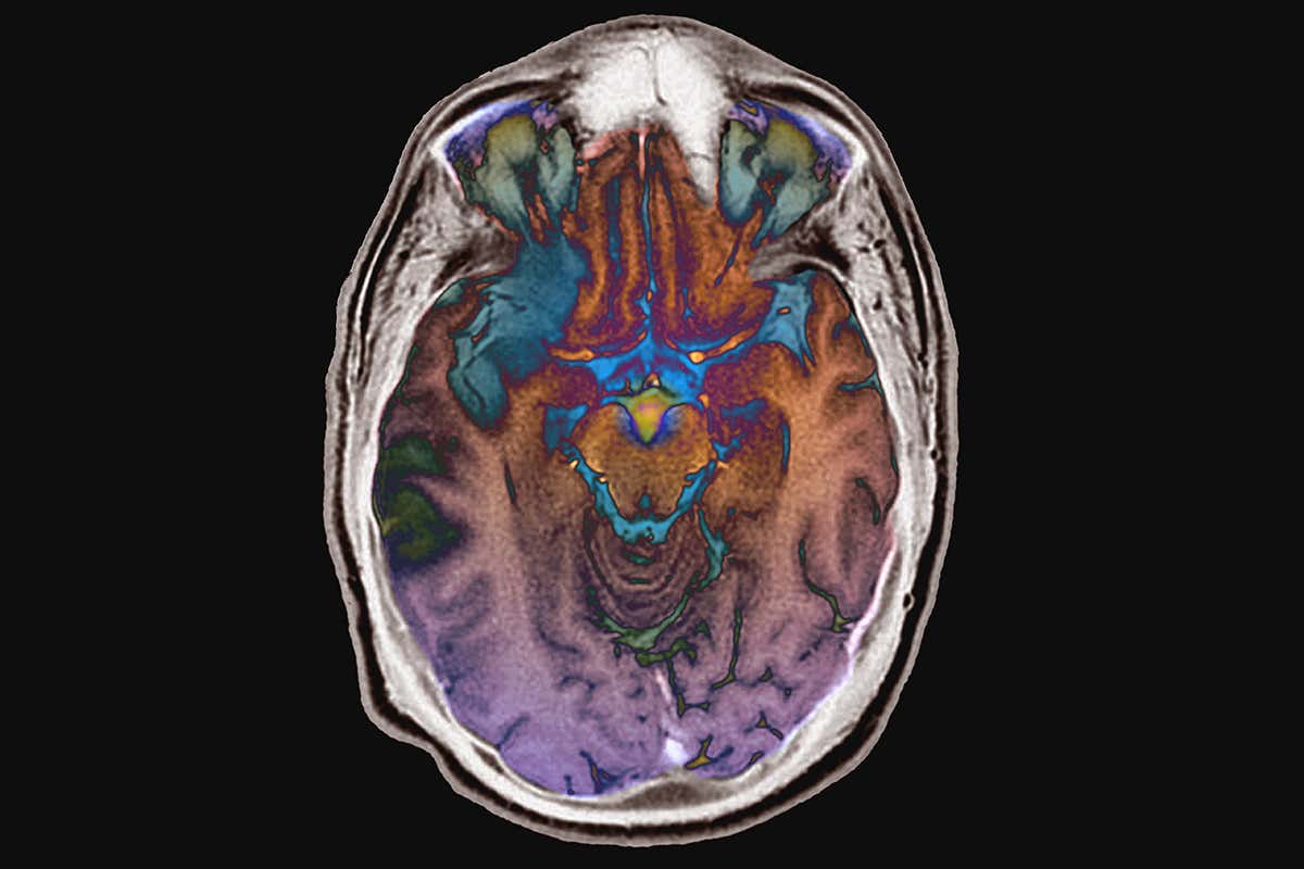 New Scientist. Science news and long reads from expert journalists, covering developments in science, technology, health and the environment on the website and the magazine.