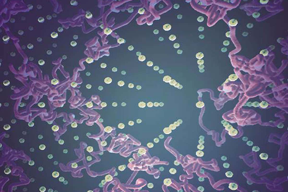 New Scientist. Science news and long reads from expert journalists, covering developments in science, technology, health and the environment on the website and the magazine.