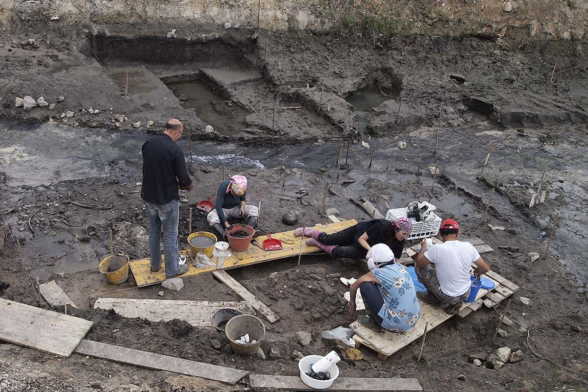 Rare wooden tools show that Neanderthals got creative with fire