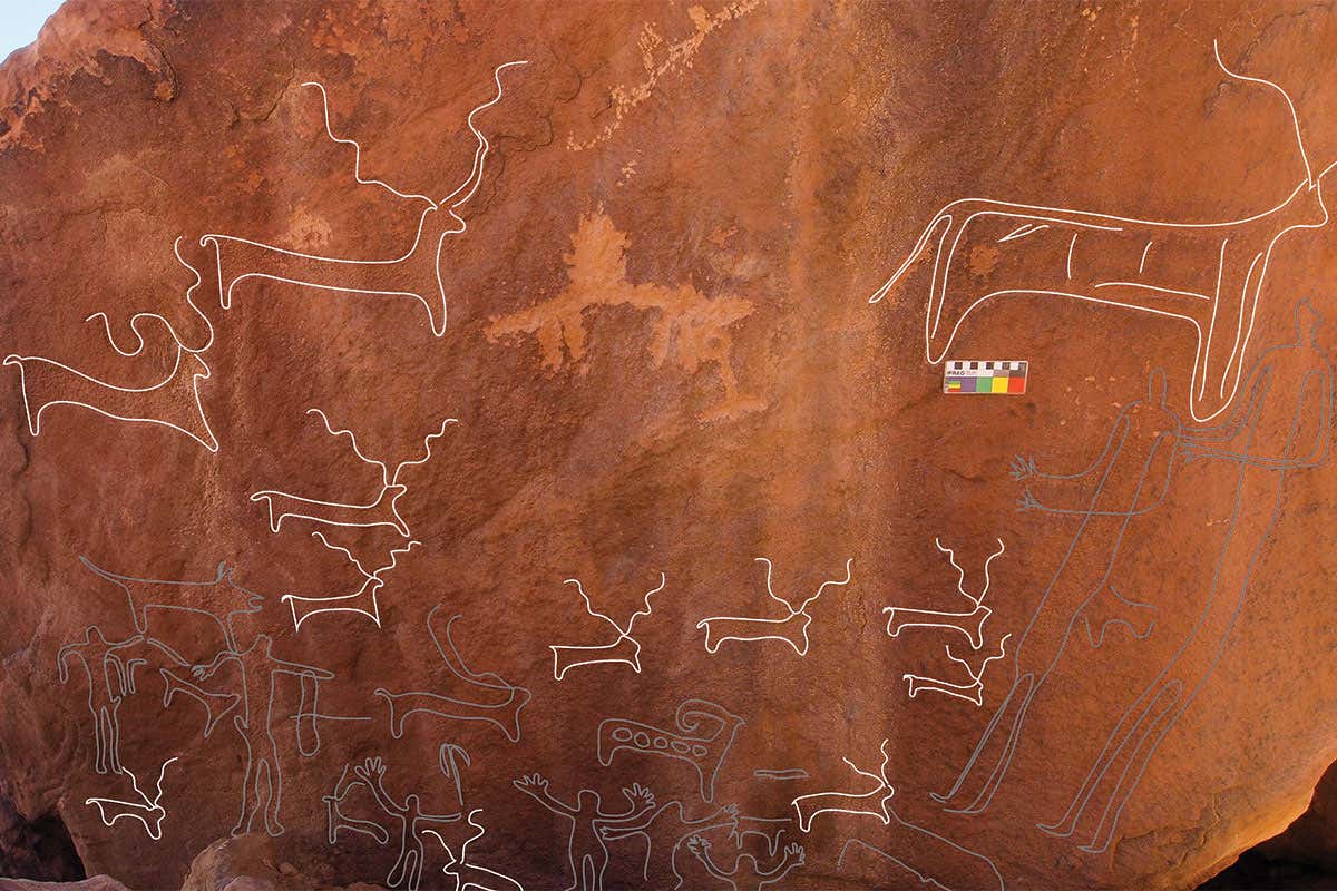 New Scientist. Science news and long reads from expert journalists, covering developments in science, technology, health and the environment on the website and the magazine.