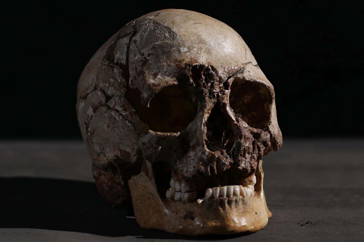 The skull of Cheddar Man