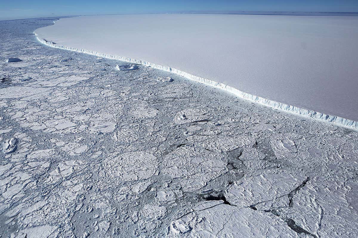 New Scientist. Science news and long reads from expert journalists, covering developments in science, technology, health and the environment on the website and the magazine.