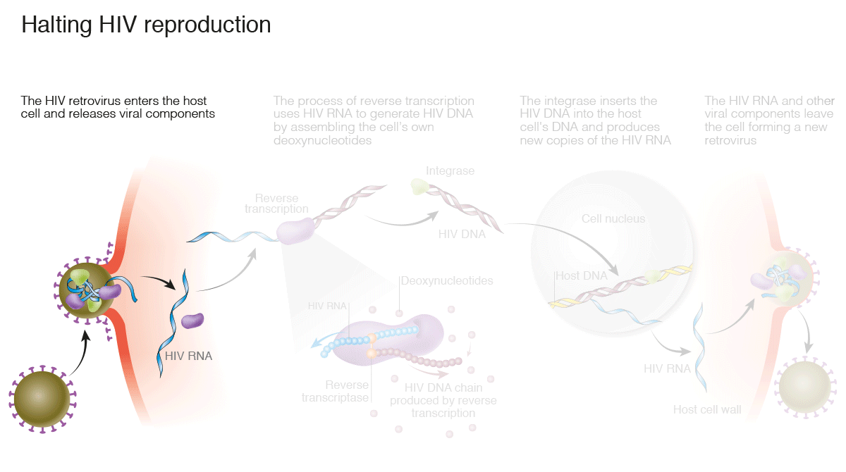 New Scientist. Science news and long reads from expert journalists, covering developments in science, technology, health and the environment on the website and the magazine.