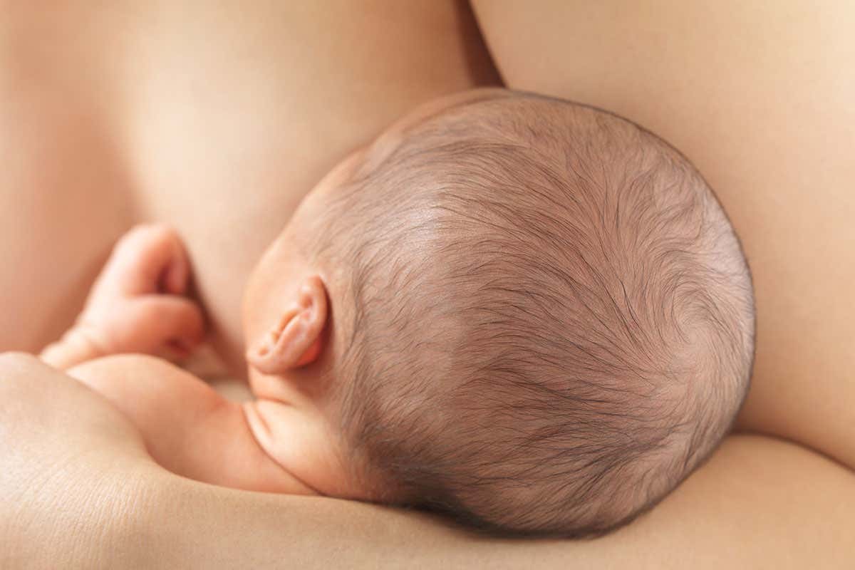 A baby being breastfed