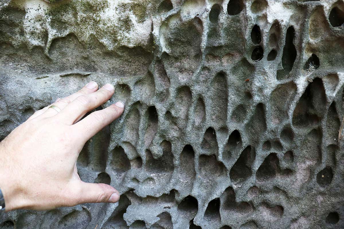 Mystery honeycombs in rock may be created by water and salt