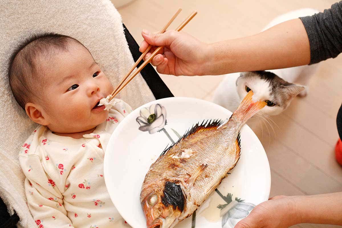 An infant eating fish