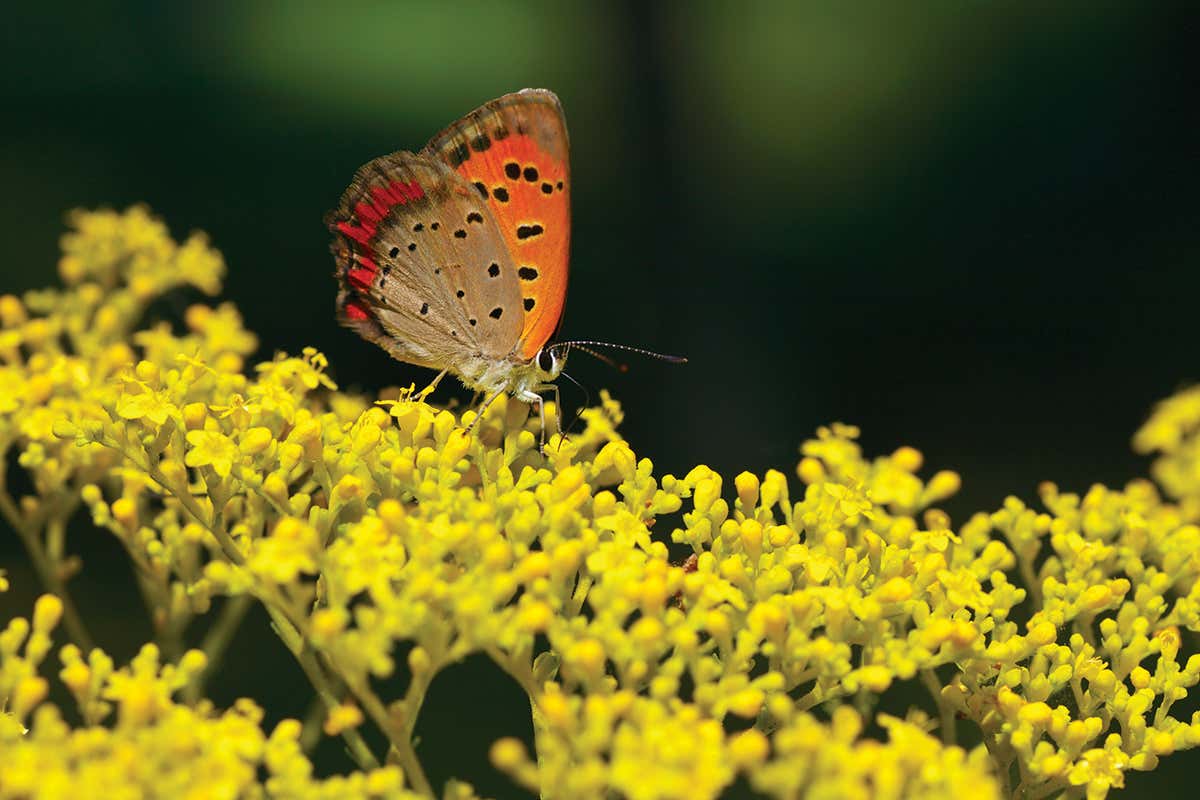 4 ways your eco-friendly plot is no good – and how to fix it