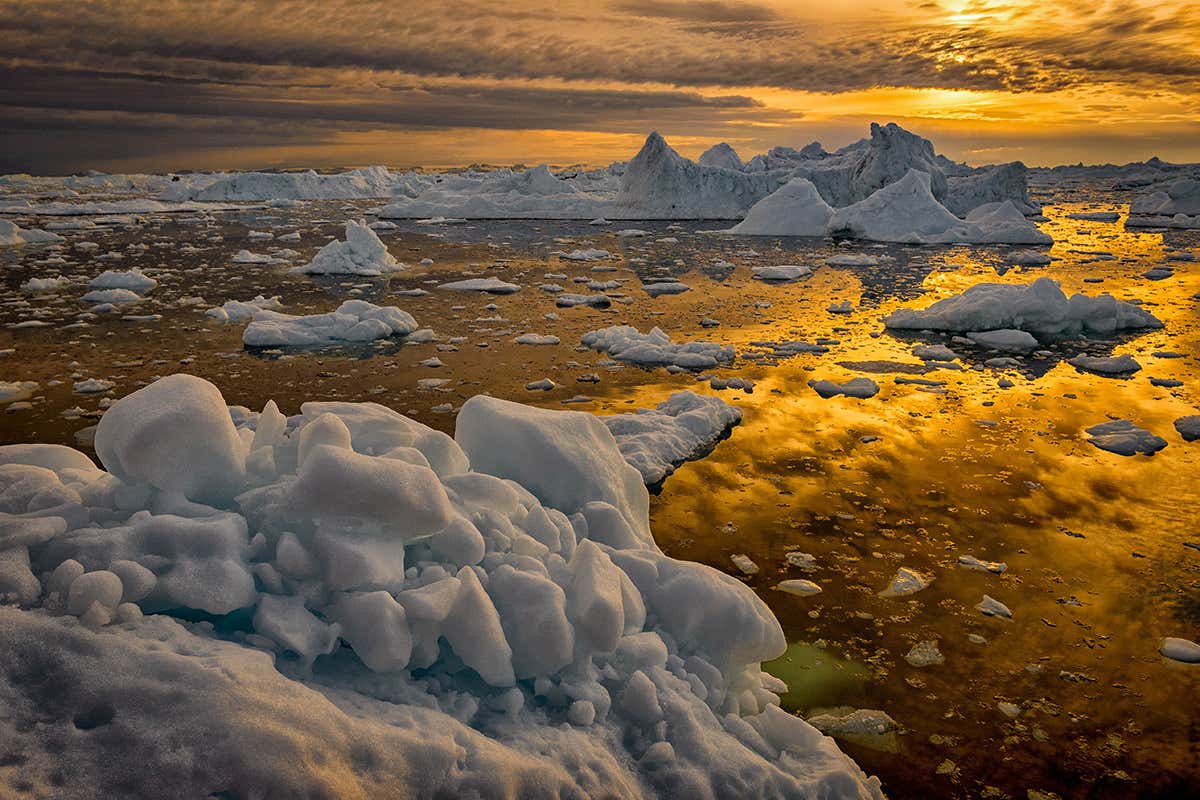 New Scientist. Science news and long reads from expert journalists, covering developments in science, technology, health and the environment on the website and the magazine.