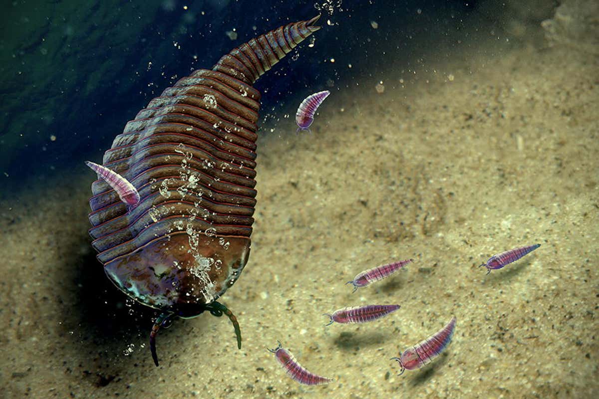 Artist's impression of ancient arthropod and young