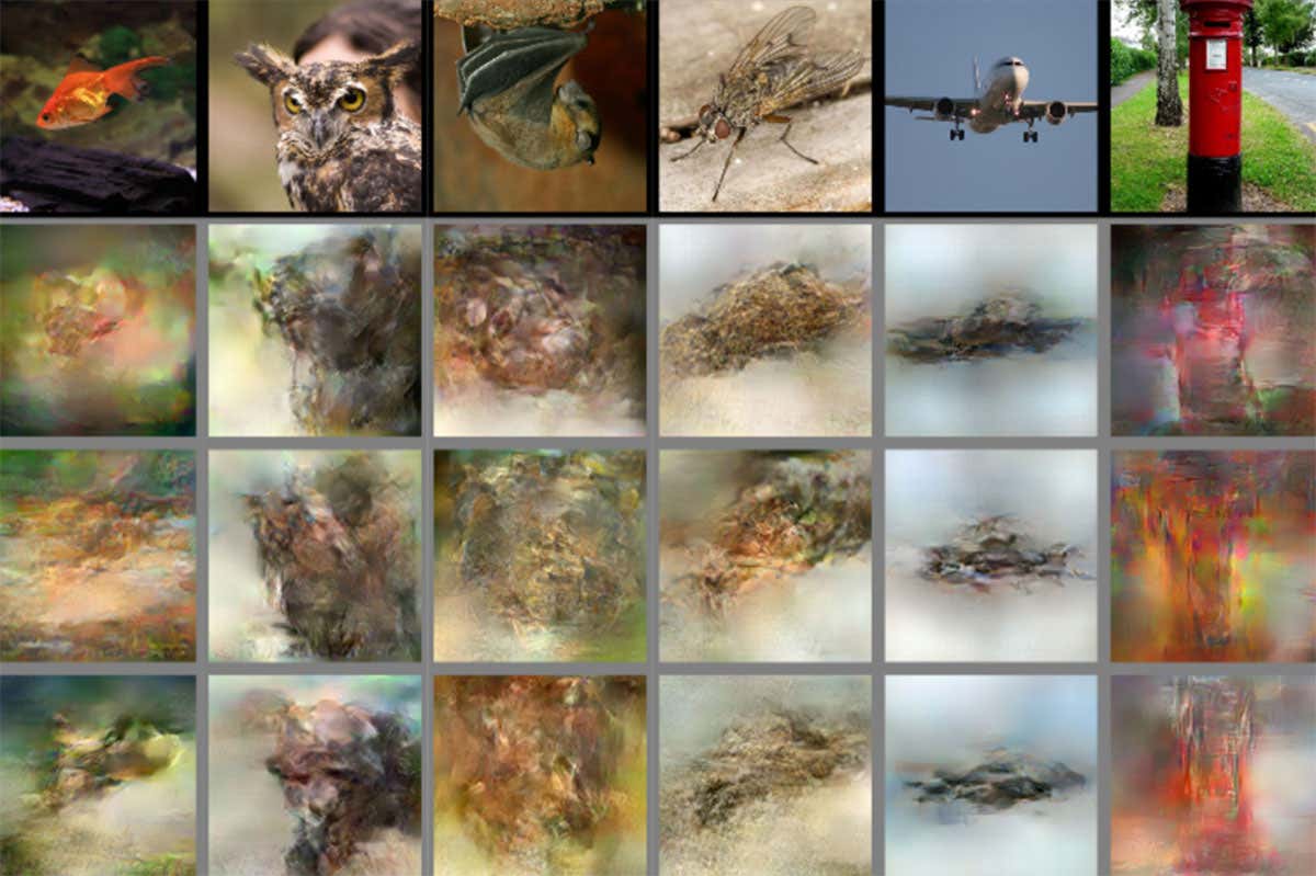 Reconstructed brain images