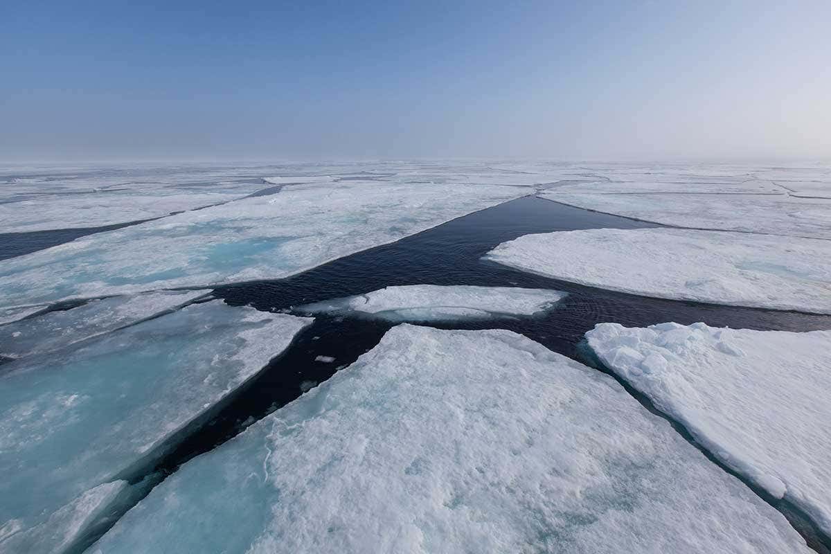 New Scientist. Science news and long reads from expert journalists, covering developments in science, technology, health and the environment on the website and the magazine.