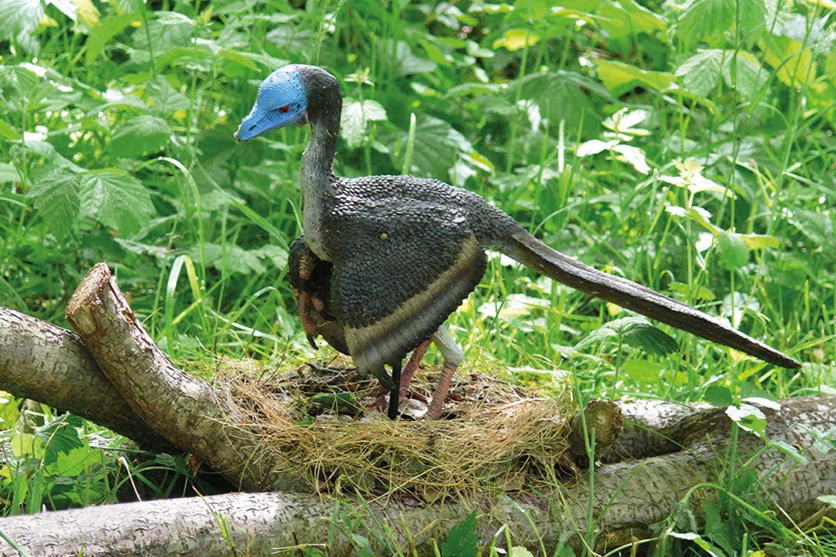 New Scientist. Science news and long reads from expert journalists, covering developments in science, technology, health and the environment on the website and the magazine.