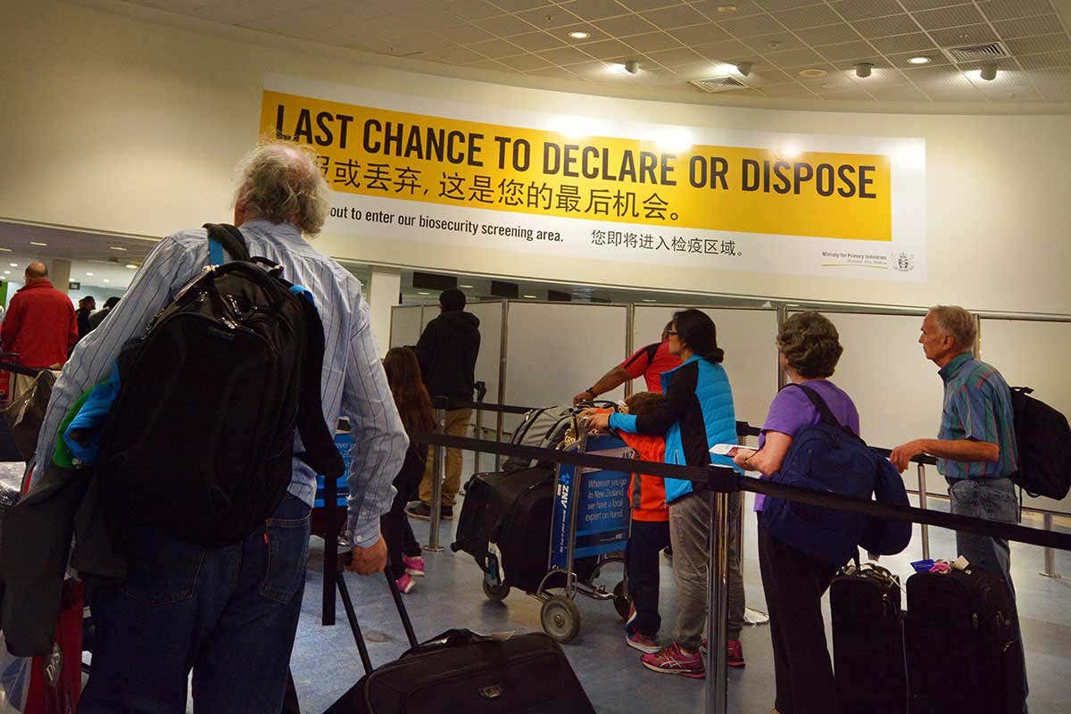 Airport customs queue with 