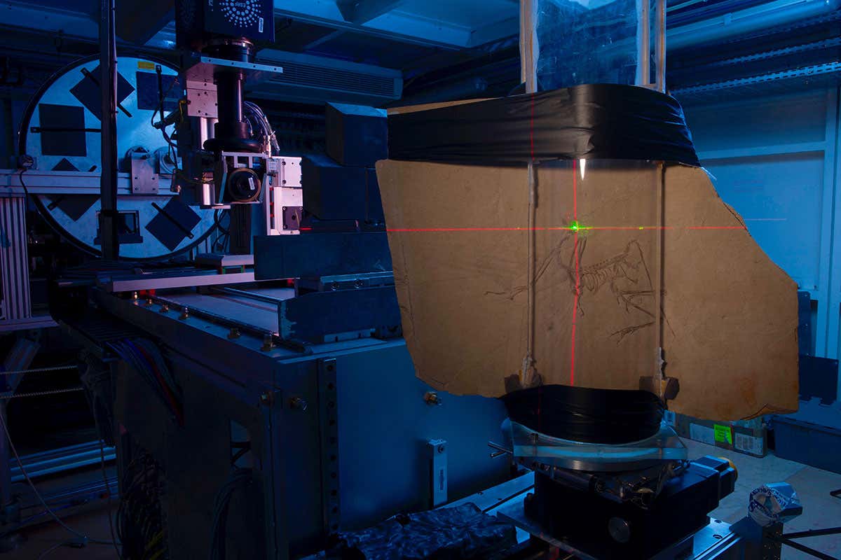 Scanning the Archaeopteryx fossil using X-rays