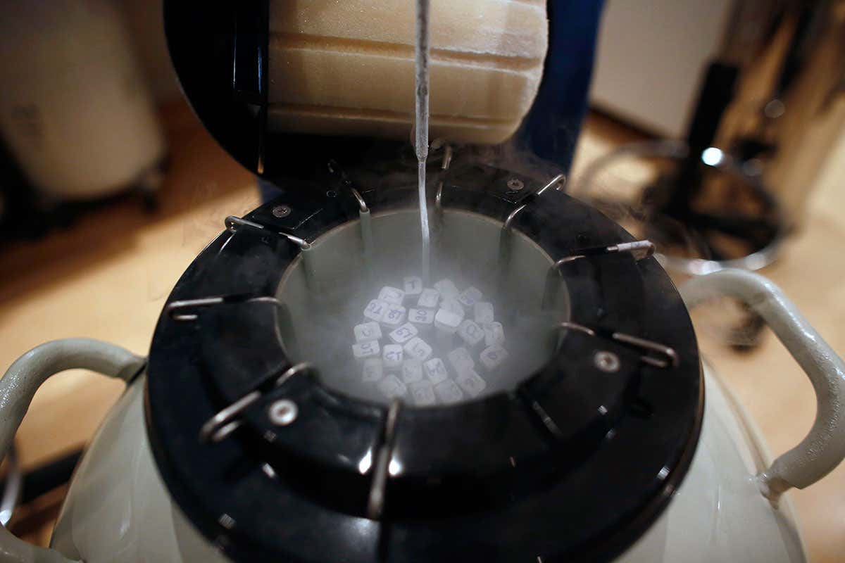 Malfunctioning fertility clinic tanks may put eggs at risk