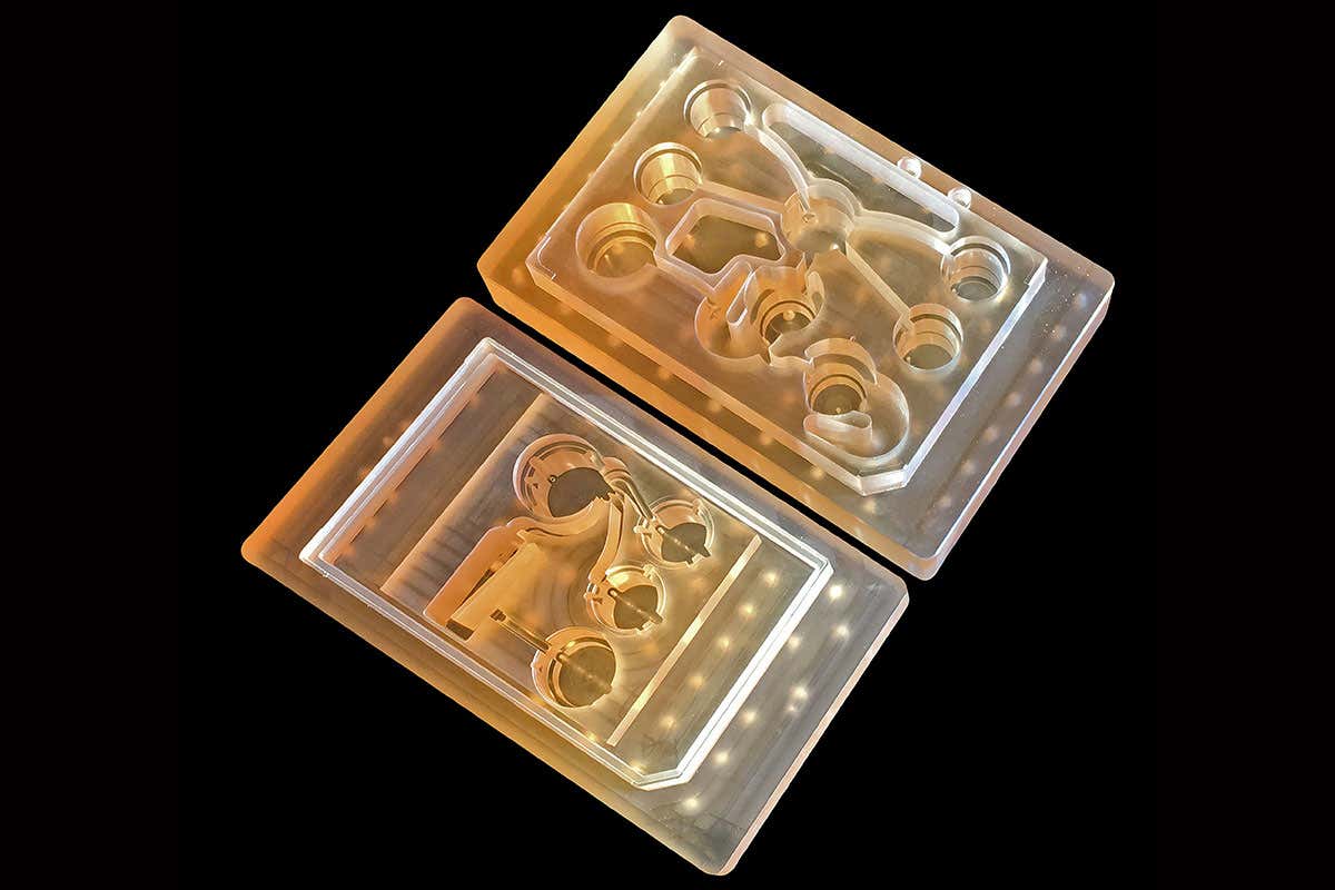 A chip with ten miniature organs on it