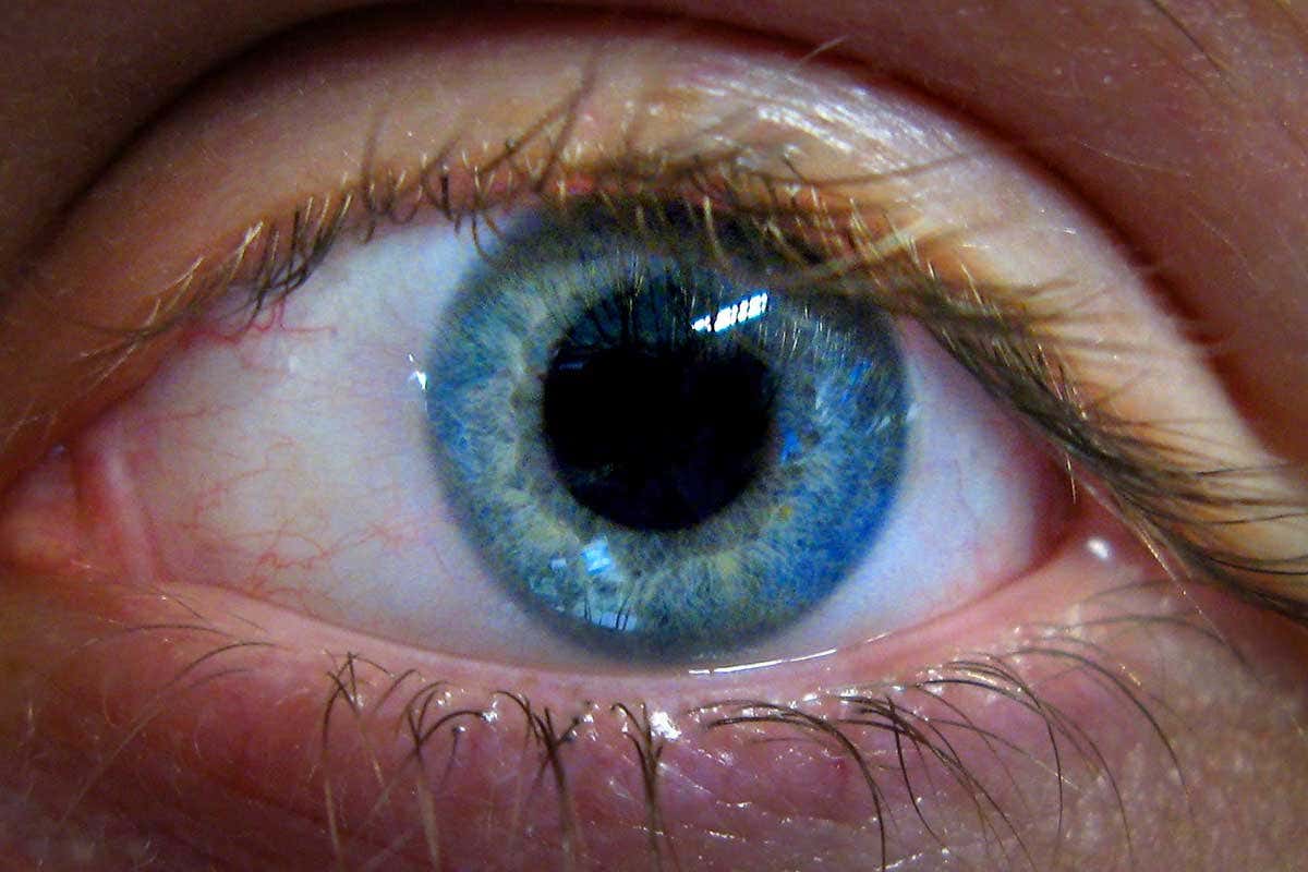 Stem cell therapy reverses sight loss and lets people read again