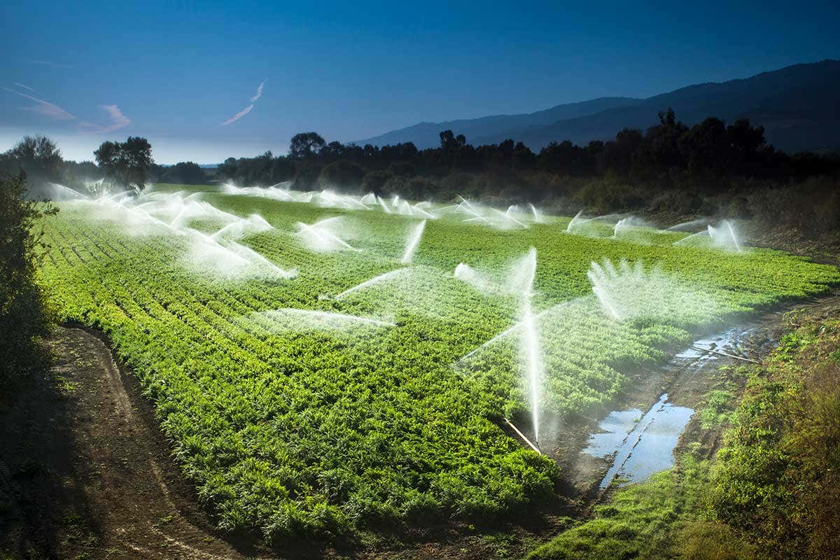 A field sprayed with water