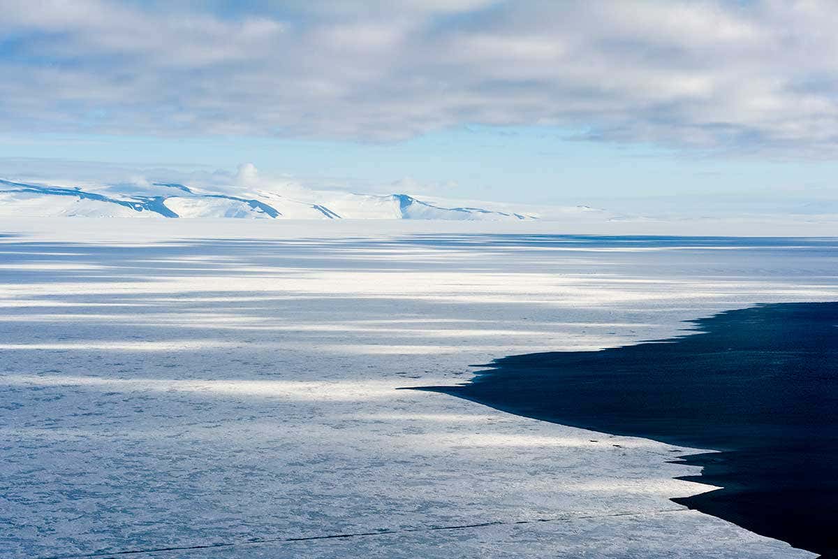 New Scientist. Science news and long reads from expert journalists, covering developments in science, technology, health and the environment on the website and the magazine.