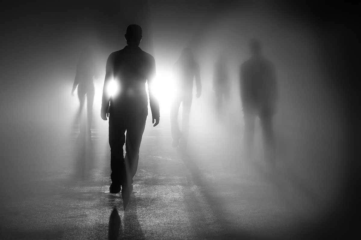 New Scientist. Science news and long reads from expert journalists, covering developments in science, technology, health and the environment on the website and the magazine.