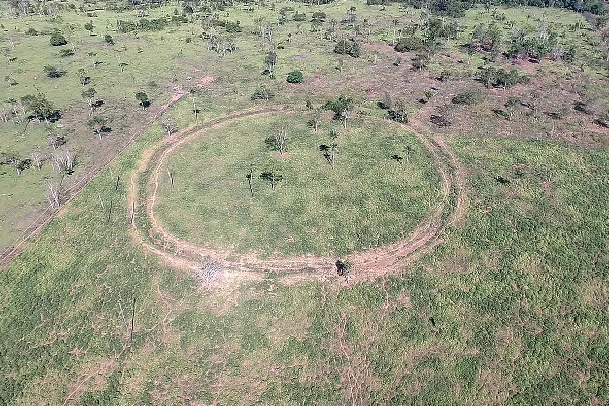 New Scientist. Science news and long reads from expert journalists, covering developments in science, technology, health and the environment on the website and the magazine.