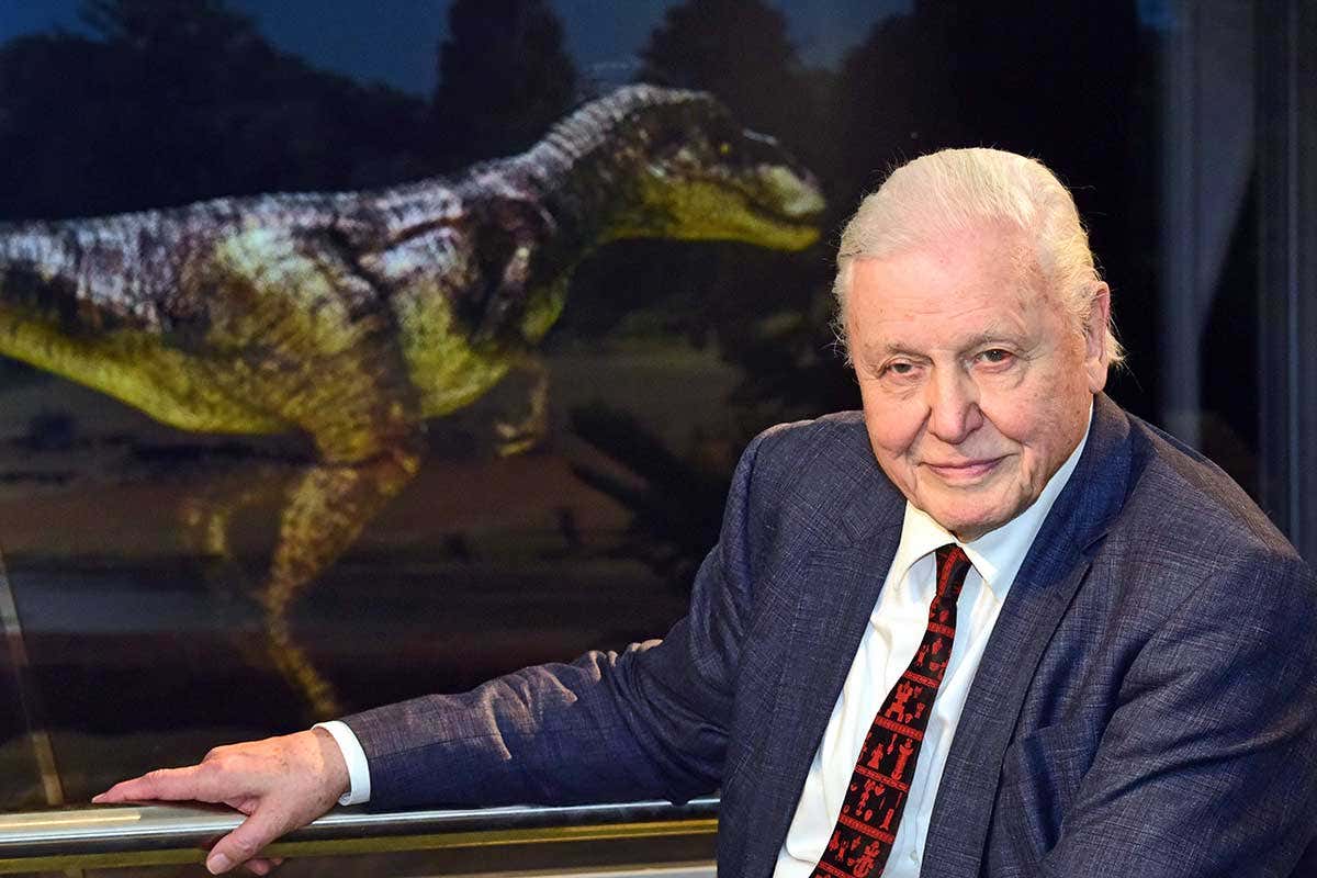 New Scientist. Science news and long reads from expert journalists, covering developments in science, technology, health and the environment on the website and the magazine.