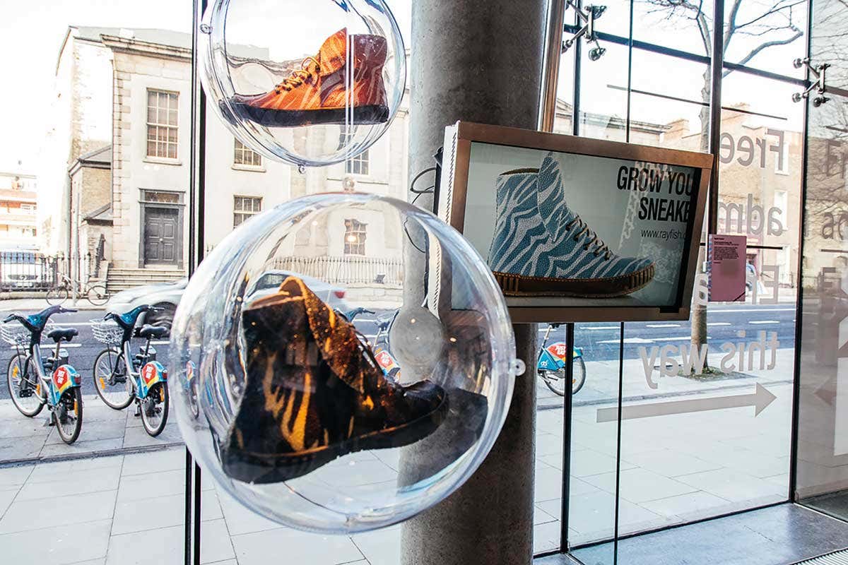 The real power of fake goes on show at Dublin’s Science Gallery