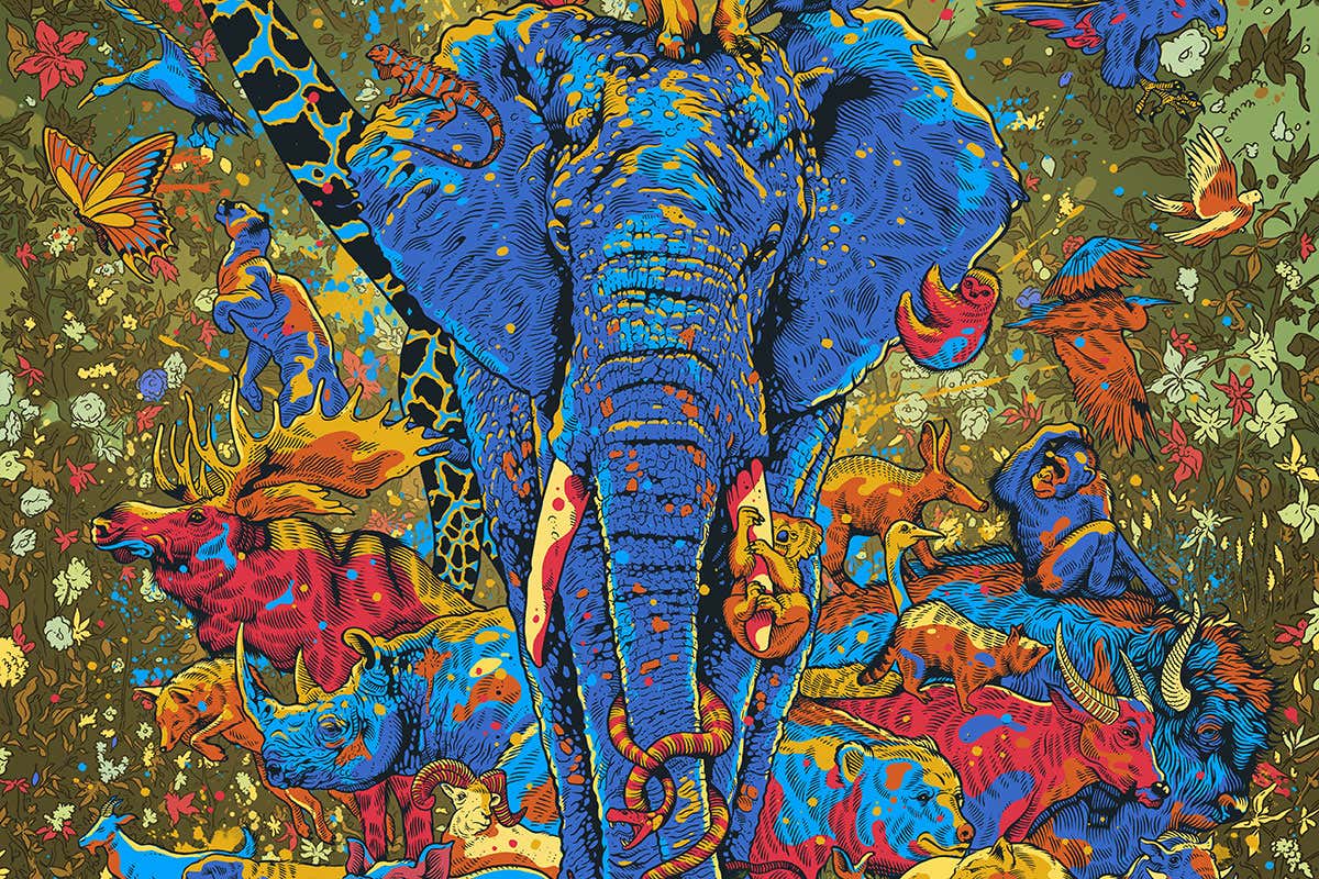animals artwork