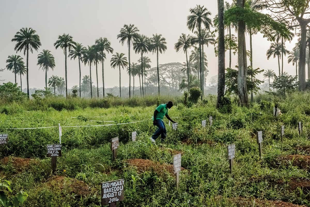 grave markers in Liberia