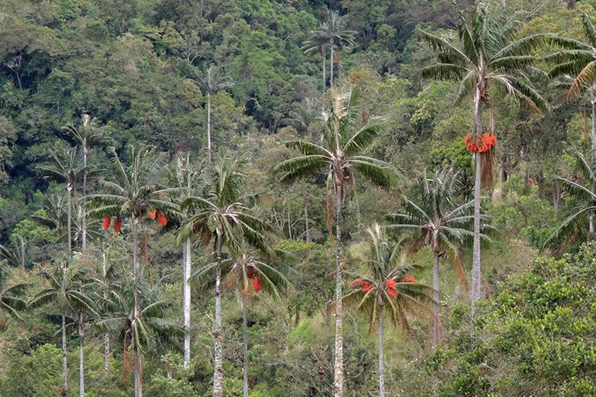 New Scientist. Science news and long reads from expert journalists, covering developments in science, technology, health and the environment on the website and the magazine.
