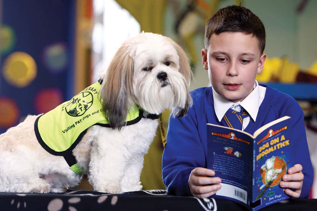 Why emotional support animals may be a waste of time