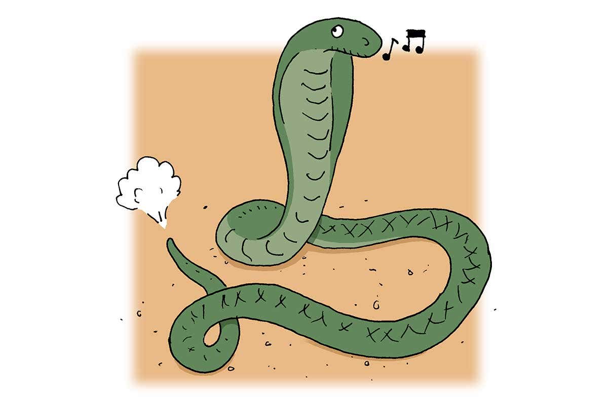 snake cartoon