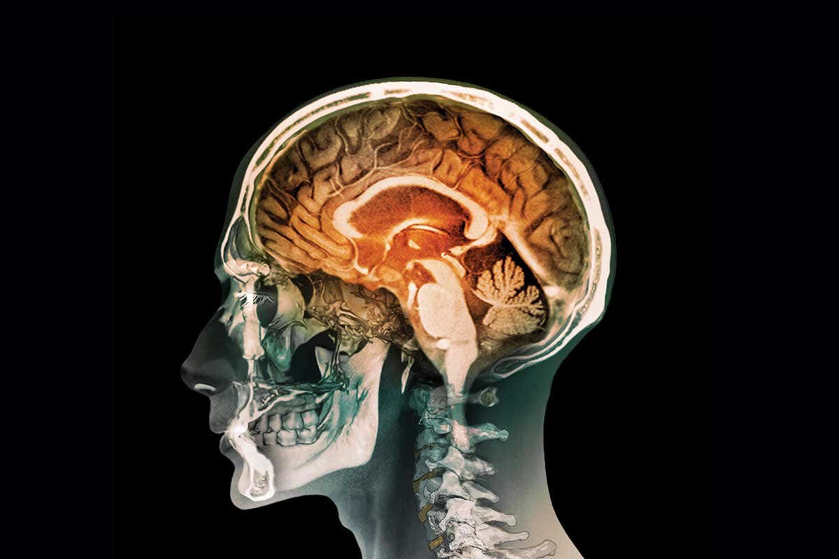 We can read memories by analysing brain gene activity