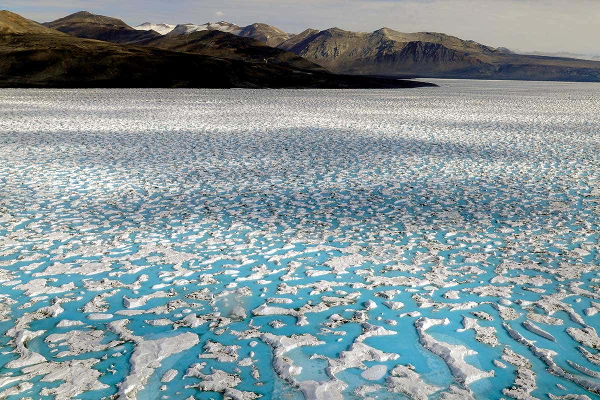 New Scientist. Science news and long reads from expert journalists, covering developments in science, technology, health and the environment on the website and the magazine.