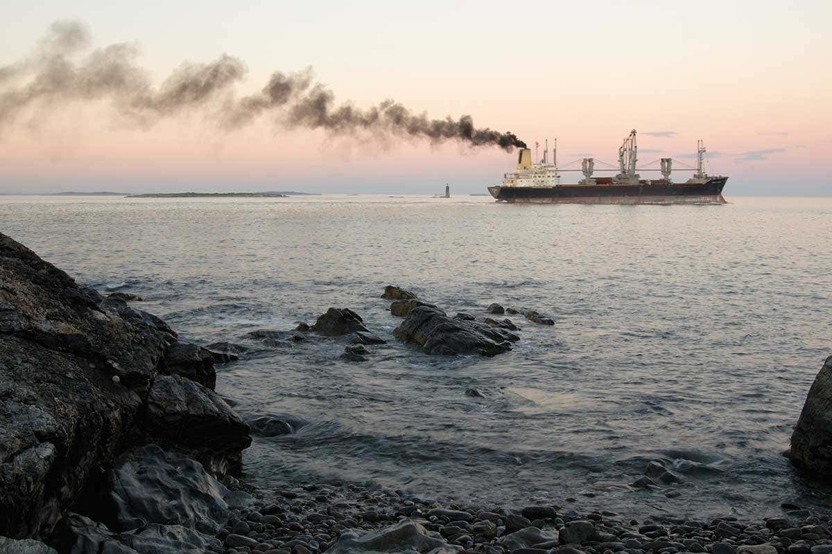 New Scientist. Science news and long reads from expert journalists, covering developments in science, technology, health and the environment on the website and the magazine.