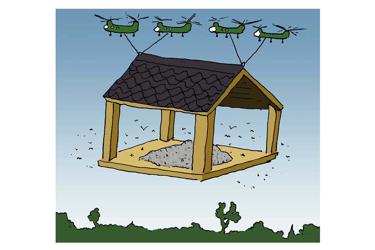 bird feeder cartoon