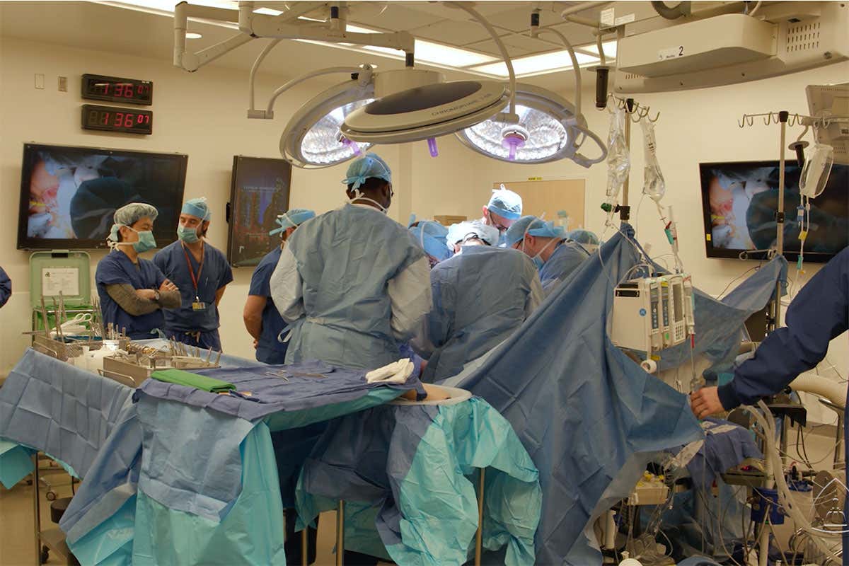 Penis transplant operation