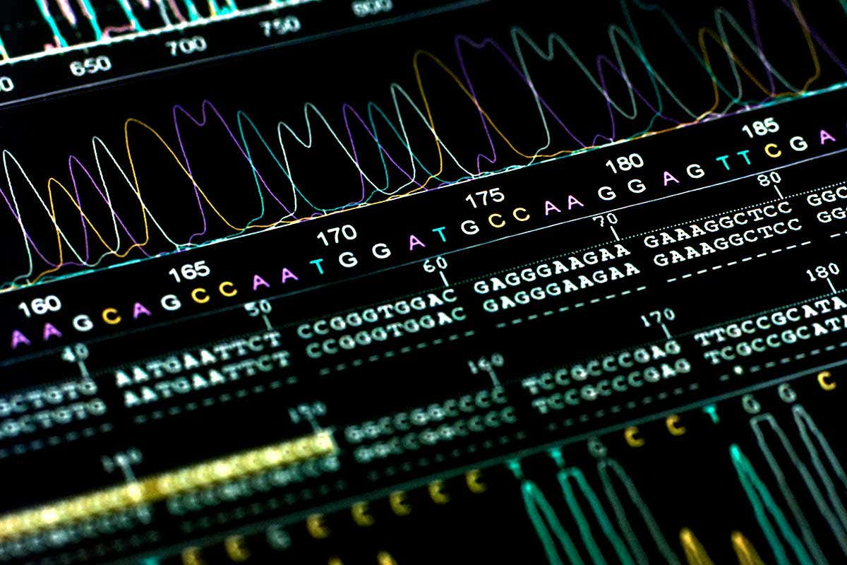 DNA sequence analysis