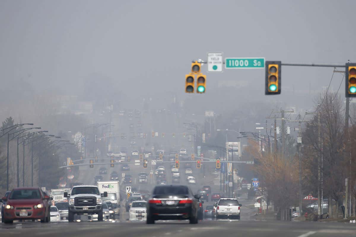 New Scientist. Science news and long reads from expert journalists, covering developments in science, technology, health and the environment on the website and the magazine.