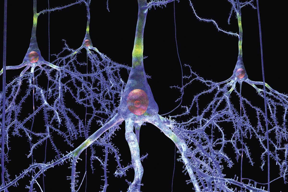 New Scientist. Science news and long reads from expert journalists, covering developments in science, technology, health and the environment on the website and the magazine.