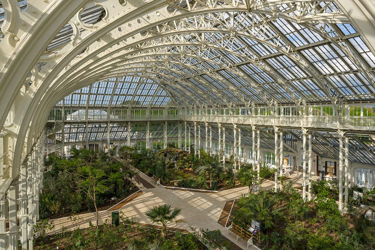Magical regrowth: Kew Gardens opens revamped Temperate House
