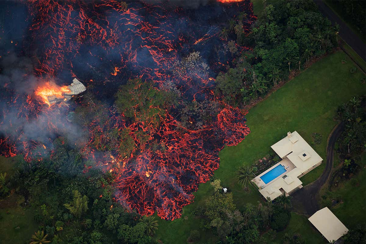 New Scientist. Science news and long reads from expert journalists, covering developments in science, technology, health and the environment on the website and the magazine.