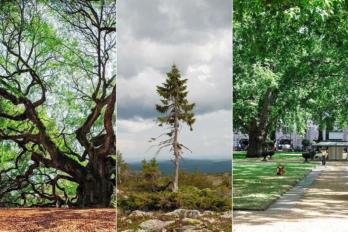 New Scientist. Science news and long reads from expert journalists, covering developments in science, technology, health and the environment on the website and the magazine.