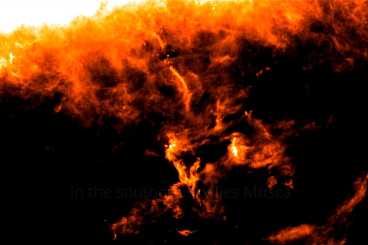 New Scientist. Science news and long reads from expert journalists, covering developments in science, technology, health and the environment on the website and the magazine.