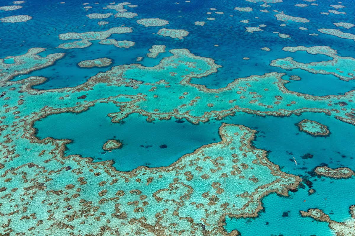 New Scientist. Science news and long reads from expert journalists, covering developments in science, technology, health and the environment on the website and the magazine.