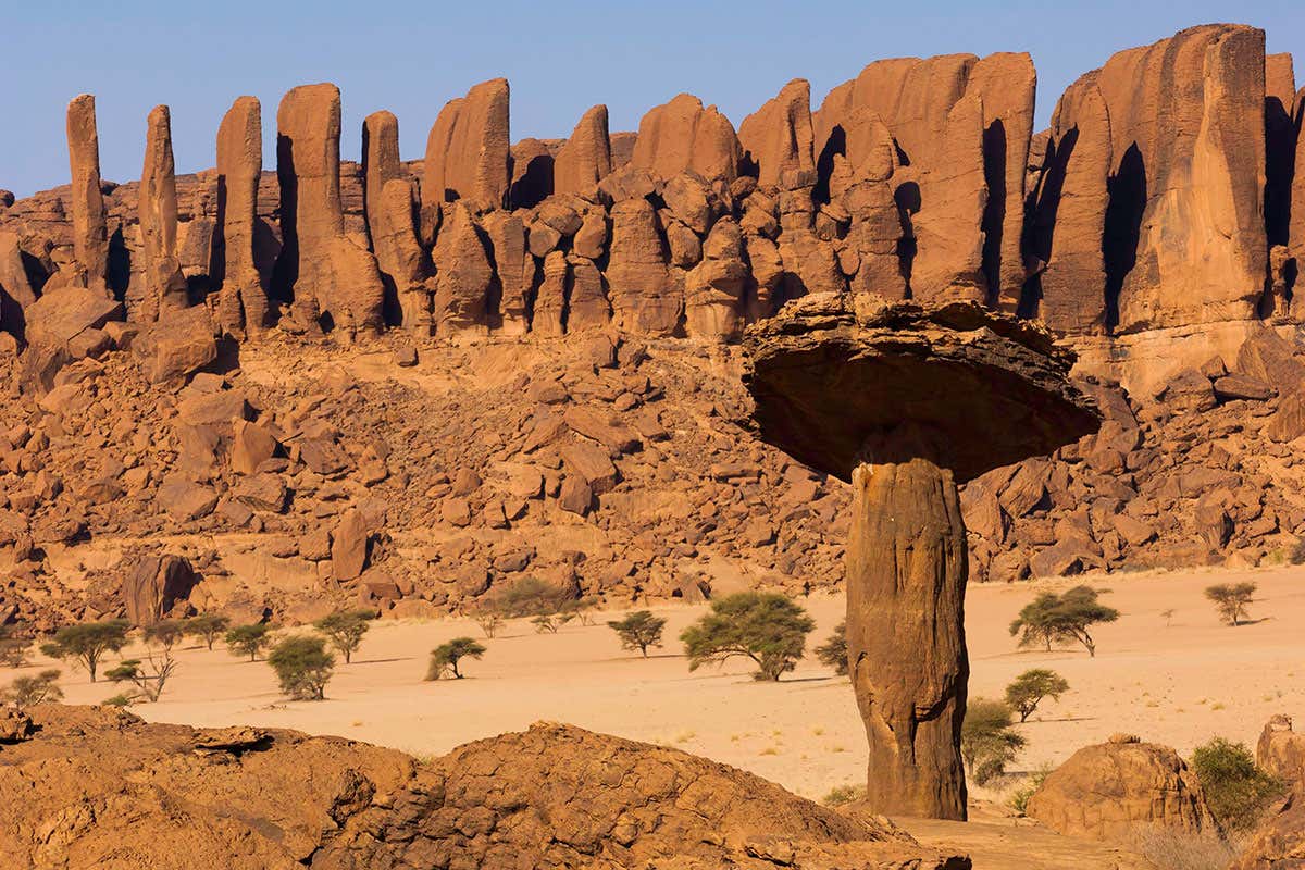 New Scientist. Science news and long reads from expert journalists, covering developments in science, technology, health and the environment on the website and the magazine.