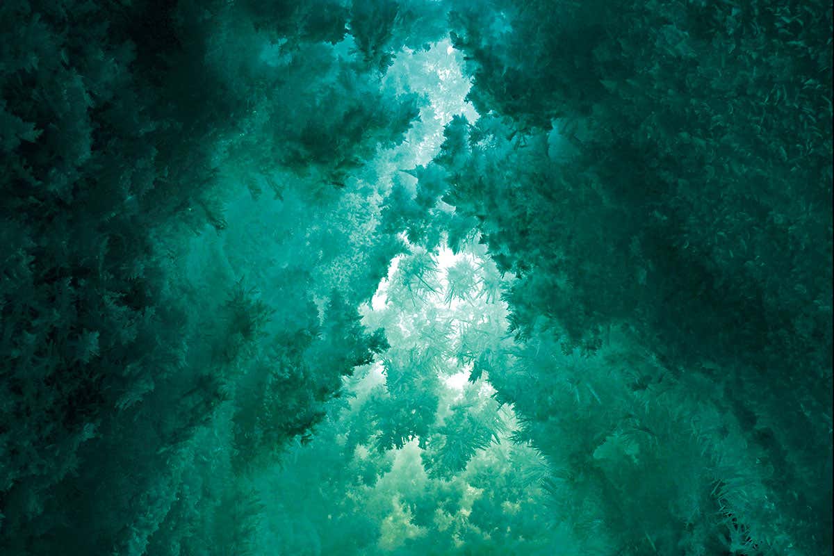 A new synthetic molecule may solve a paradox about life's origin