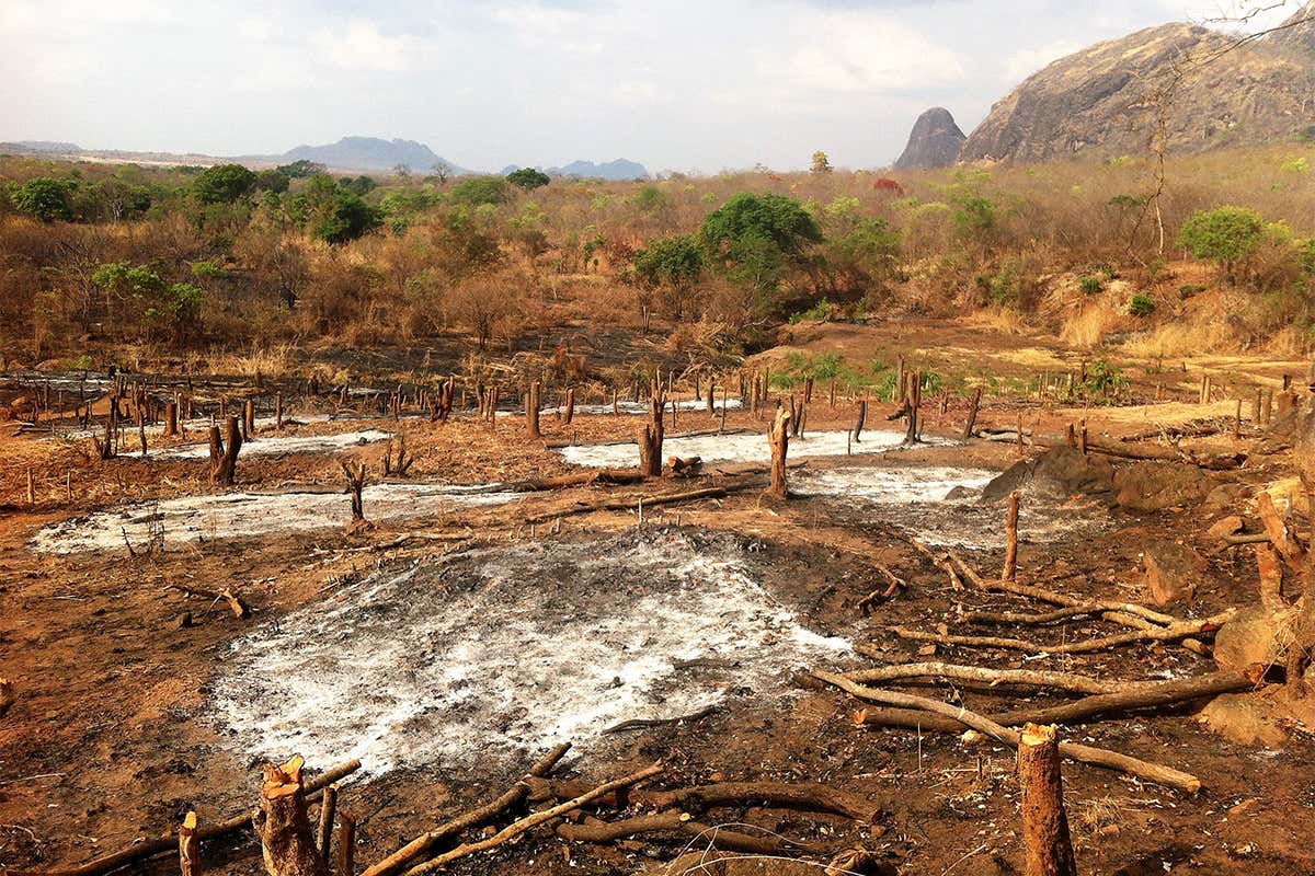 New Scientist. Science news and long reads from expert journalists, covering developments in science, technology, health and the environment on the website and the magazine.