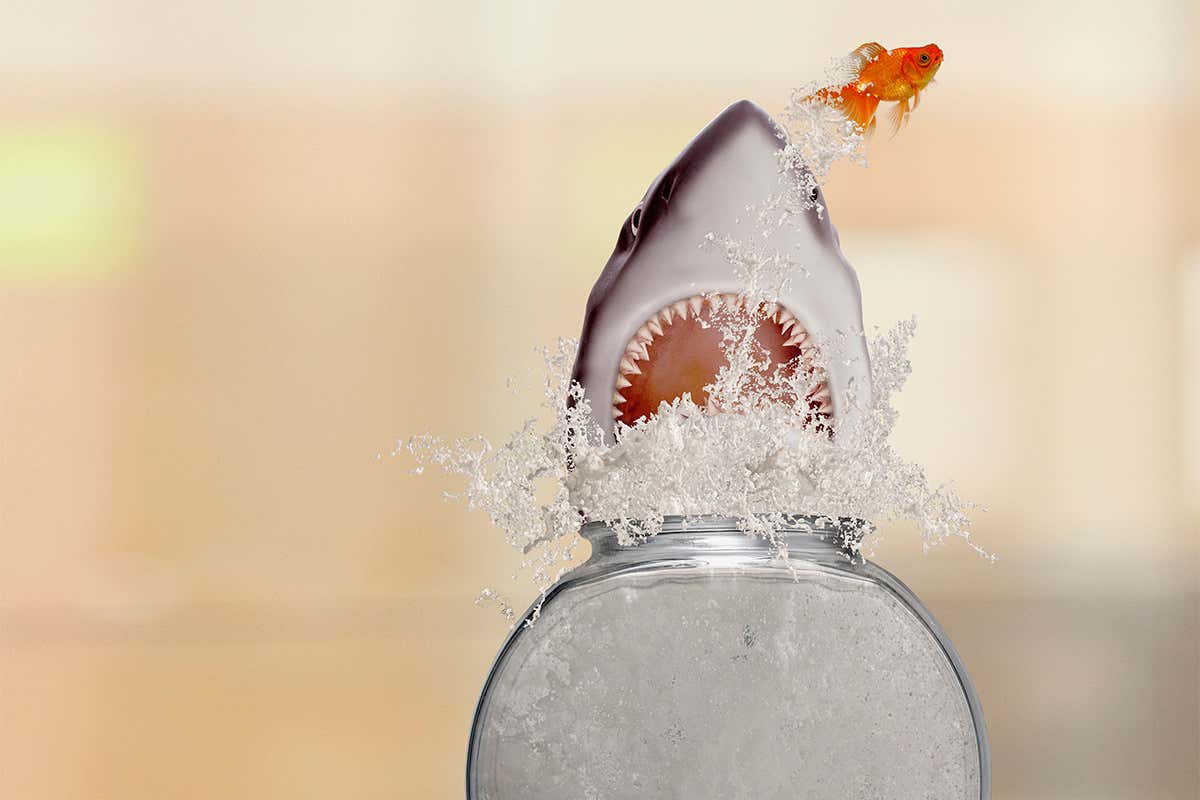 New Scientist. Science news and long reads from expert journalists, covering developments in science, technology, health and the environment on the website and the magazine.