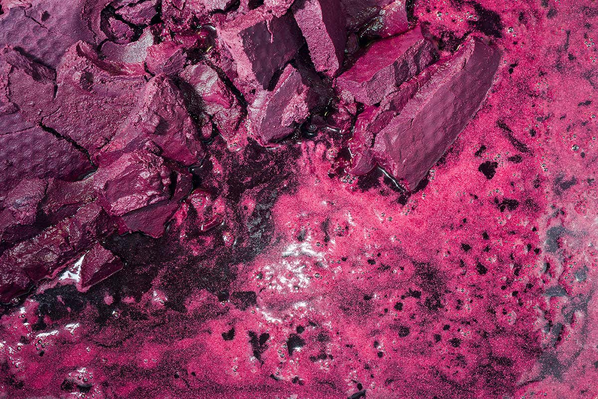 Grape skins and stems can be turned into a greener plastic